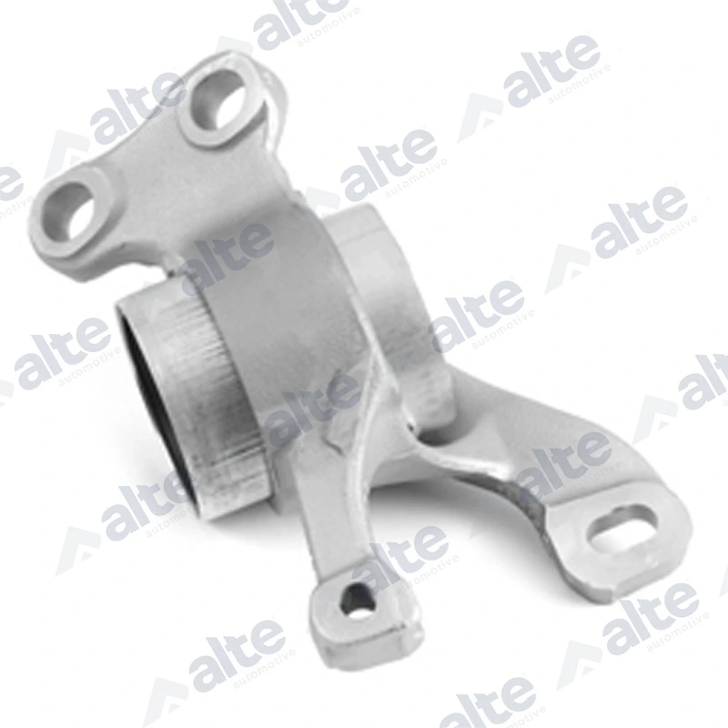 Mounting, control/trailing arm
